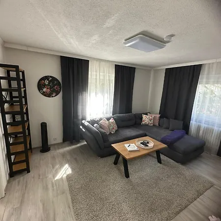 Schwarzwaelder Tulpe * Gernsbach