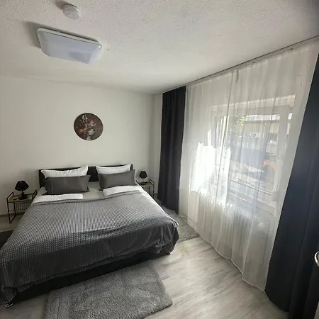 Daire Schwarzwaelder Tulpe *