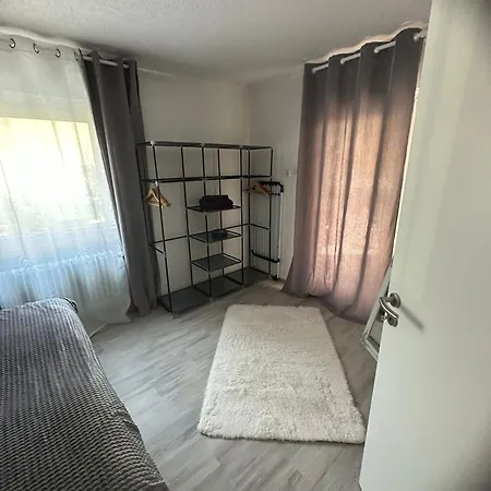 Daire Schwarzwaelder Tulpe