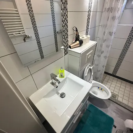 Daire Schwarzwaelder Tulpe