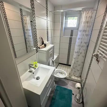 Schwarzwaelder Tulpe Daire Gernsbach