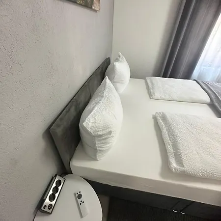 Schwarzwaelder Tulpe * Gernsbach