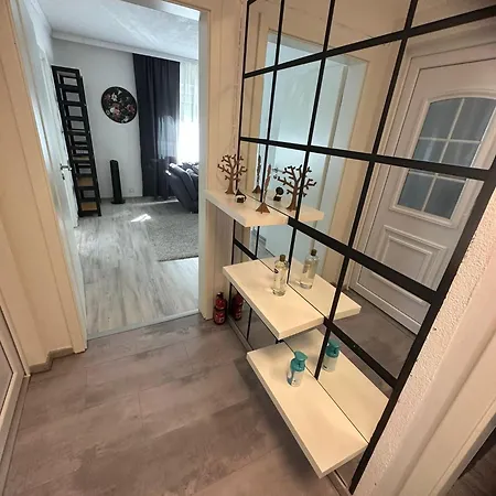 Schwarzwaelder Tulpe