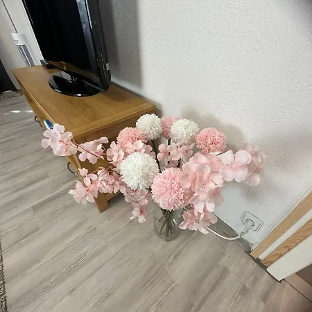 Daire Schwarzwaelder Tulpe Gernsbach